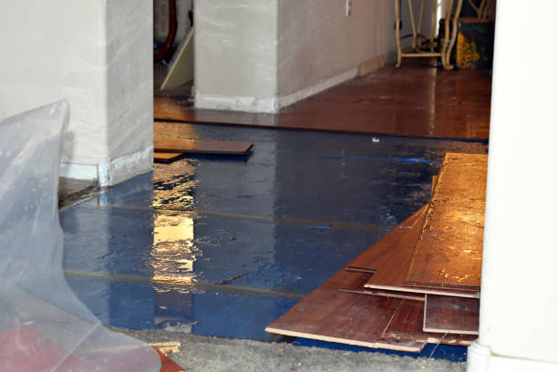 Professional Water Damage Repair technician working in Plymouth, IN